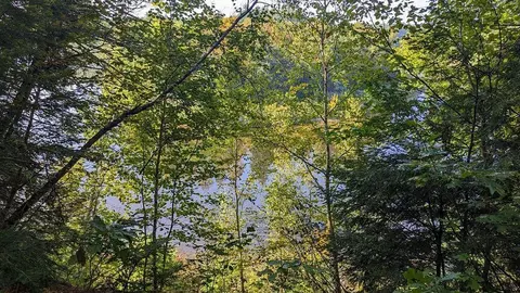 M19 L21 Sandy River Road, New Sharon, ME 04955
