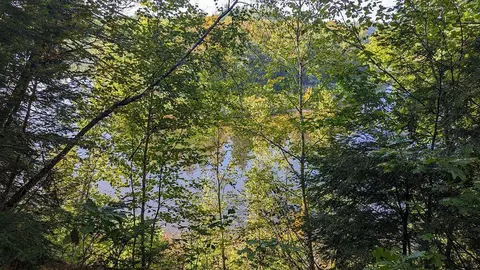 M19 L21 Sandy River Road, New Sharon, ME 04955