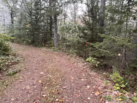 lot83 H Black Spruce Rd, Bristol, ME 04539