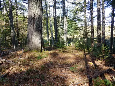 lot12 A Map 12 Bristol Rd, Bristol, ME 04539