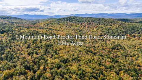 0 Mountain Rd-proctor Pond Rd, Stoneham, ME 04231