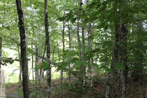 Oo Randall Lane, Orland, ME 04472