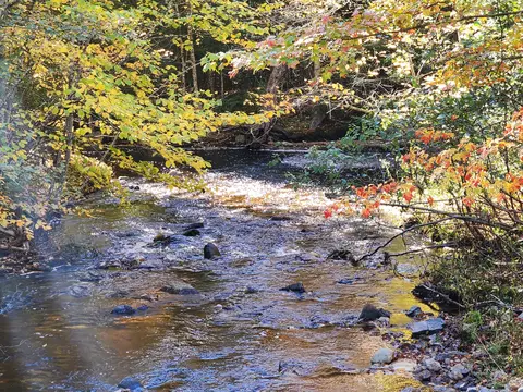 82 Old County Rd # B, Searsport, ME 04974