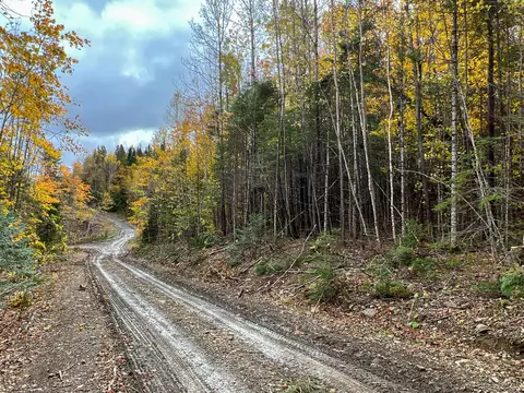 lot4 Nelson Rd, Oakfield, ME 04763