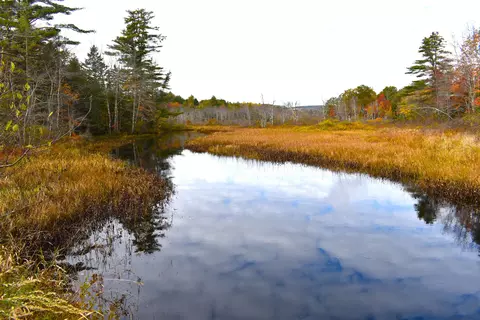 32 Curtis Rd, Swanville, ME 04915