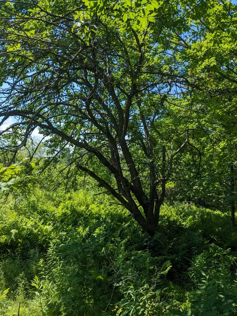 2868 Rt 3, Palermo, ME 04354