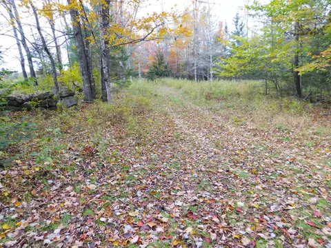 lot Apt 40-1 Map Apt 1 Rd, Ripley, ME 04930