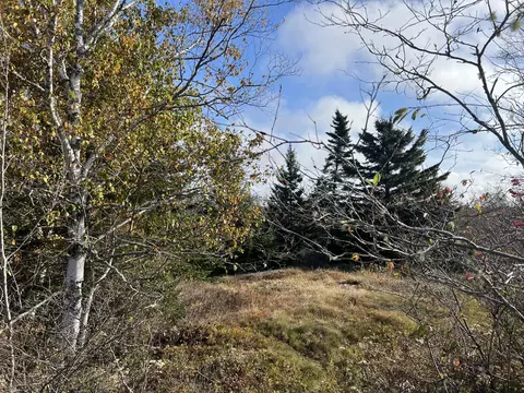 M7 L81 Indian River Road, Jonesport, ME 04649