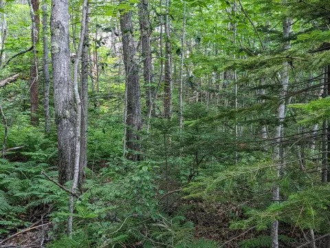 2930 Rte 3, Palermo, ME 04354