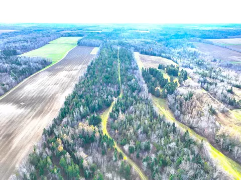 Map7 Lot5 Hamlin Road, Hamlin, ME 04785