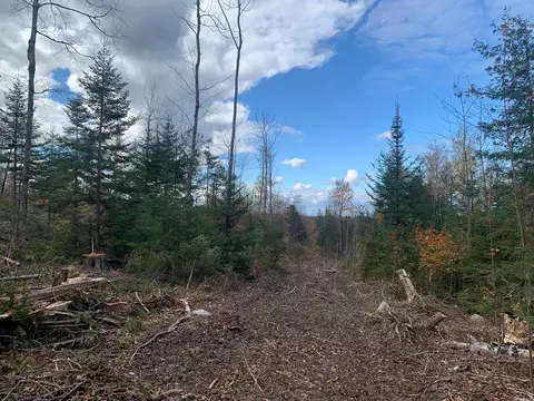 0 Sheepskin Rd, Carroll Plt, ME 04487