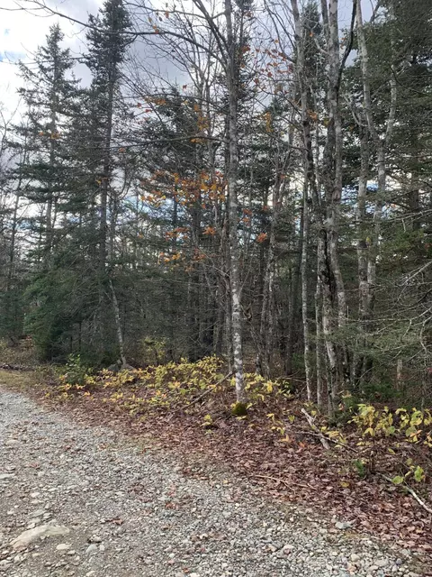 lot2 20 Yellow Birch Rd, Whiting, ME 04691