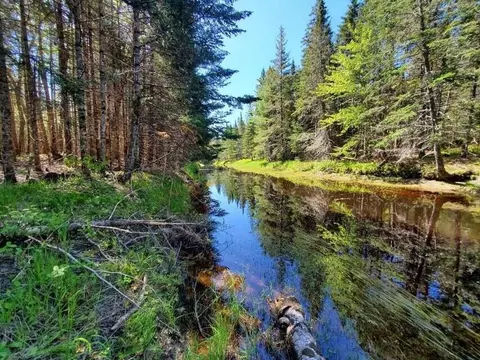 3 Black Cow Mdw # -2, Northfield, ME 04654