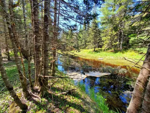 4 Black Cow Meadow Rd # -2, Northfield, ME 04654