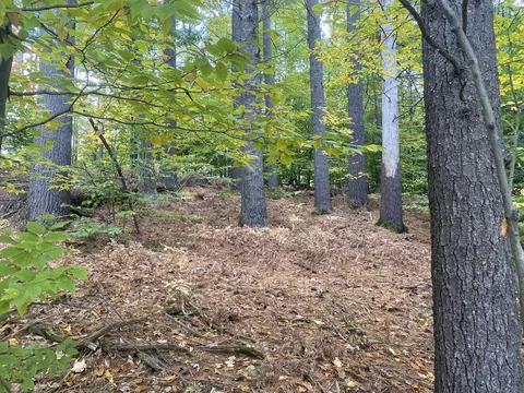 371 Lot B Main St #B, Fryeburg, ME 04037