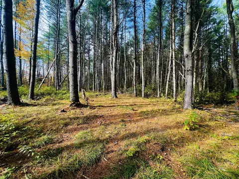 M5 L22-3-1 Leavitt Drive, Palmyra, ME 04965