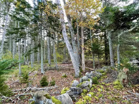 0 W District Rd, North Haven, ME 04853