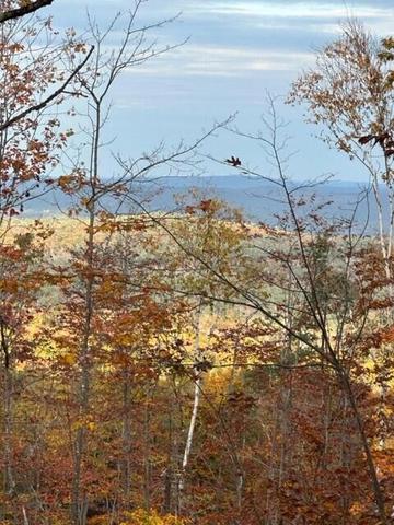 lot42 B2 Bear Trap Rd, Bridgton, ME 04009