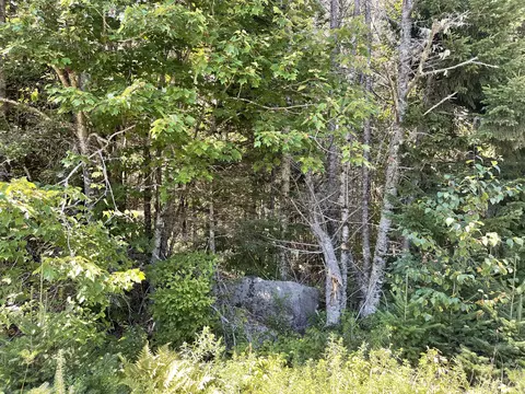 lot10 Pidgeon Point Rd, Whiting, ME 04691