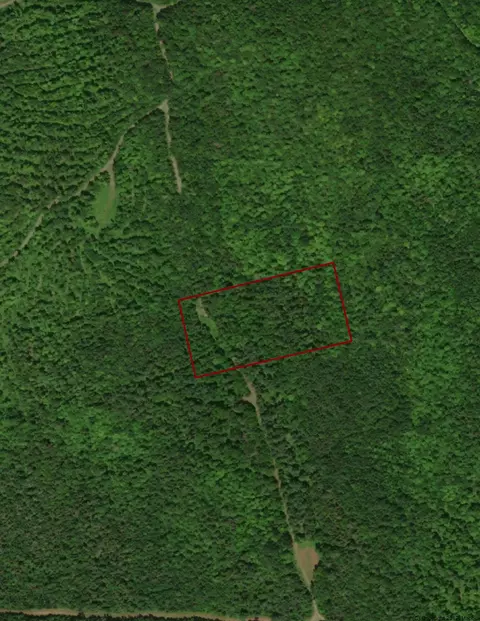 tbd Budge Farm Rd, Springfield, ME 04487