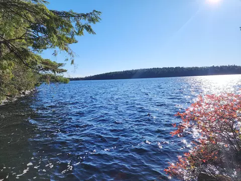 0 Patrick Lake Rd, Marion Twp, ME 04628