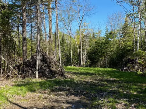 2 Tumbledown Ln, Greenville, ME 04441