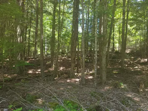 000 Swetts Pond Road Ext, Orrington, ME 04474