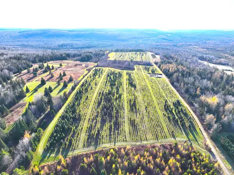 Map23 Lot4 Grivois Road, Grand Isle, ME 04746