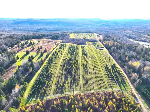 Map23 Lot4 Grivois Road, Grand Isle, ME 04746