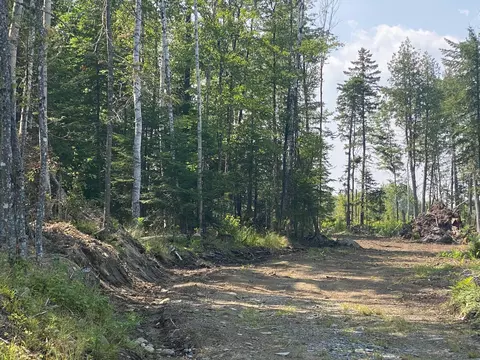 7 Tumbledown Ln, Greenville, ME 04441