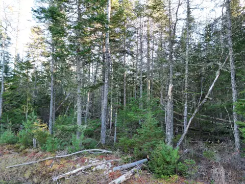 42 Southgate Rd, Old Town, ME 04468