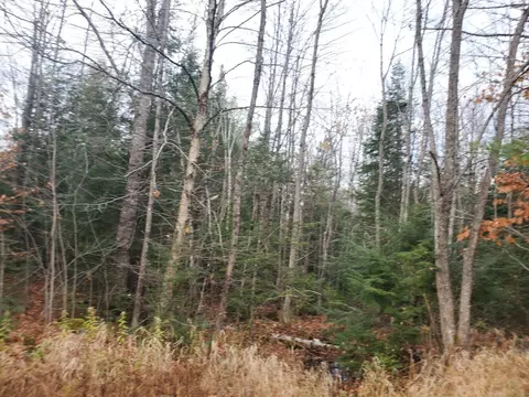 M18 L13 Swan Road, New Sharon, ME 04955