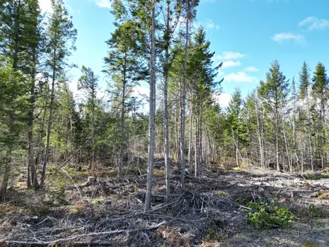 Off Medway Road, Mattawamkeag, ME 04459