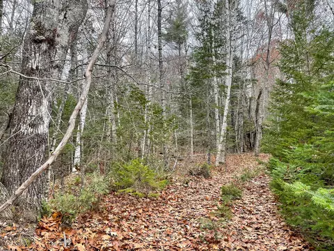 lot8 Off Pleasant River Lake Rd, Beddington, ME 04622