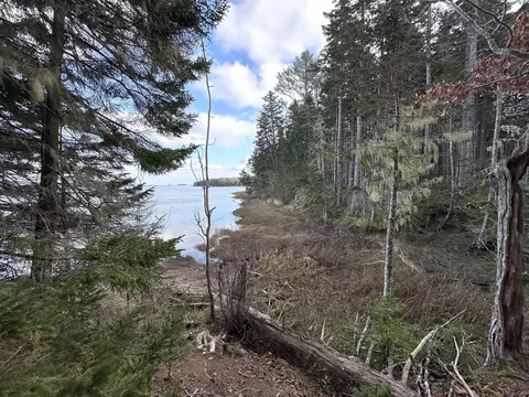 102 Naskeag Point Rd, Brooklin, ME 04616