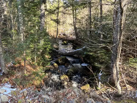 lot S 345 Homestead Dr, Lakeville, ME 04487