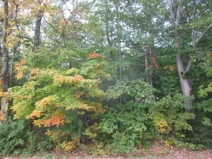 100 Berry Rd # A, Denmark, ME 04022