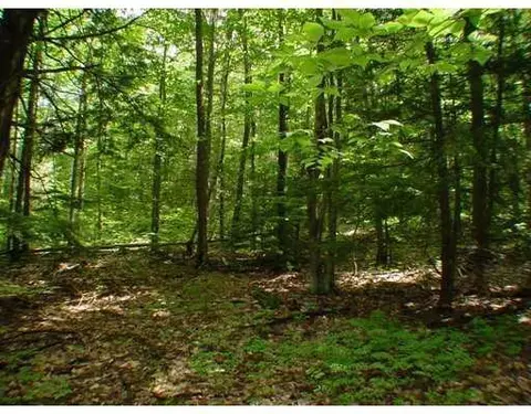 lot5 Maplecrest Rd, Parsonsfield, ME 04047