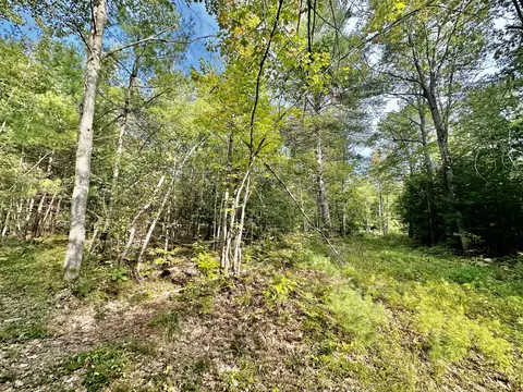 6 Berry Rd, Sebago, ME 04092