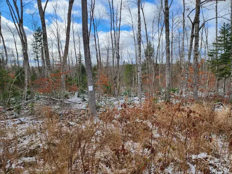 L 4 Greenleaf Brook Acres Road, Amity, ME 04471
