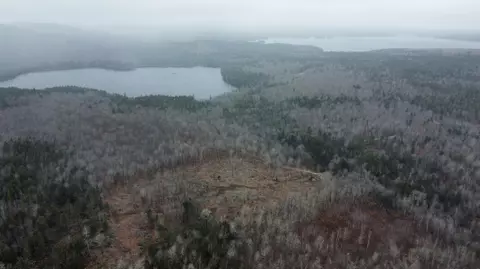lot37 Wedge Heights Rd, Orland, ME 04472