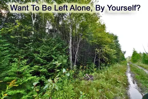 lot7 Off Pulcifer Rd, Mapleton, ME 04757 photo 4