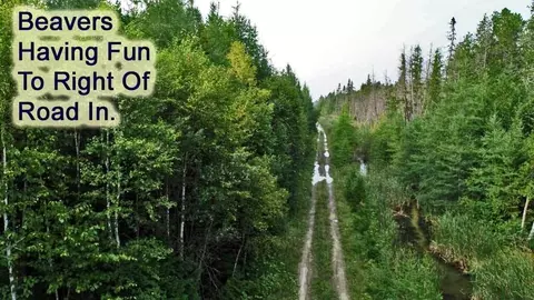 lot7 Off Pulcifer Rd, Mapleton, ME 04757 photo 5