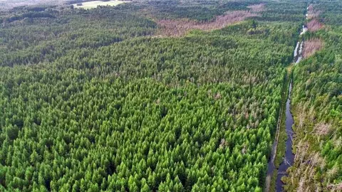 lot7 Off Pulcifer Rd, Mapleton, ME 04757 photo 7