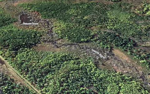 lot7 Off Pulcifer Rd, Mapleton, ME 04757 photo 9