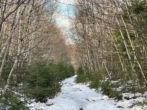 M7 L4 Off Ward Ridge Road, Wellington, ME 04942