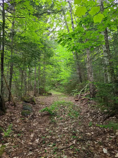 Tbd Hinds Rd, Wyman Twp, ME 04982