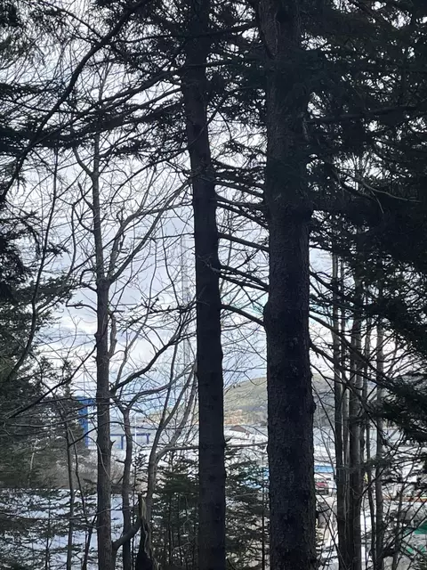 217 Seawall Road Rd, Southwest Harbor, ME 04679
