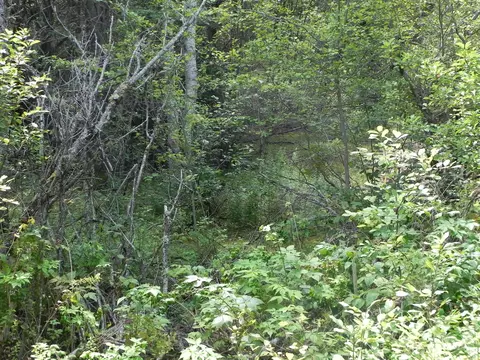 0 Lyons Rd #LOT 87-1, Lubec, ME 04652