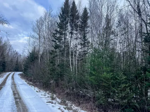lot12 Woodland Ridge Rd, Danforth, ME 04424